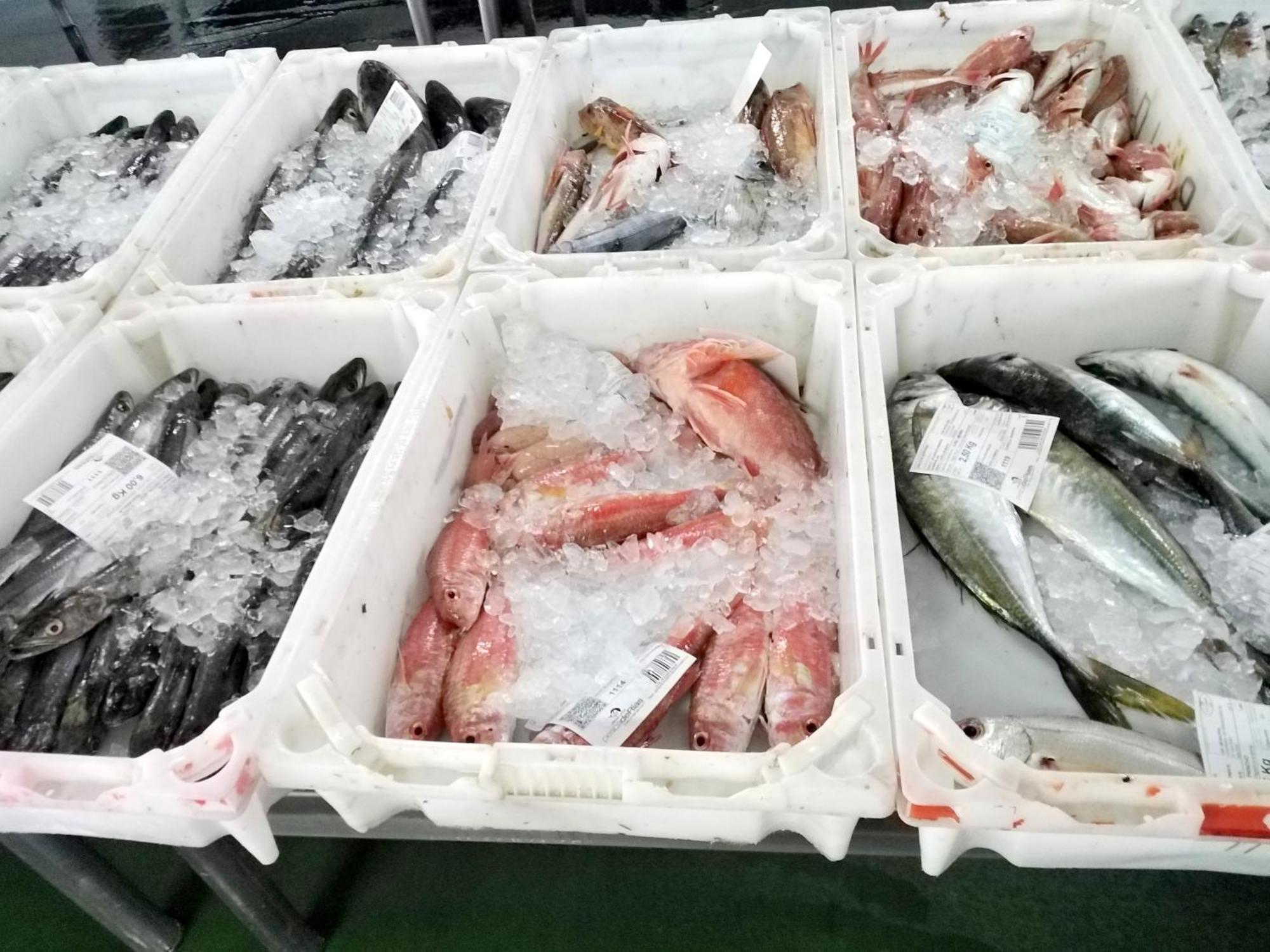 Terra Do Mar Atico Nuevo En Costa Da Morte, Camino De Los Faros Ponteceso 外观 照片